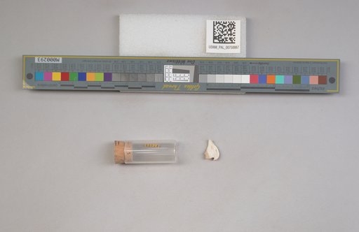 NSF ADBC EPICC TCN