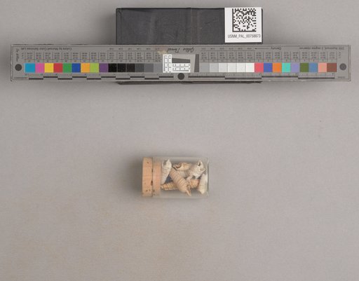 NSF ADBC EPICC TCN