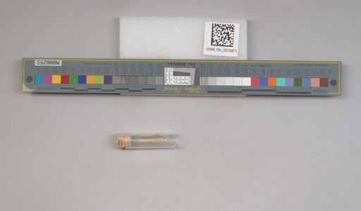 NSF ADBC EPICC TCN