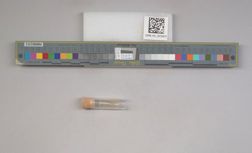 NSF ADBC EPICC TCN