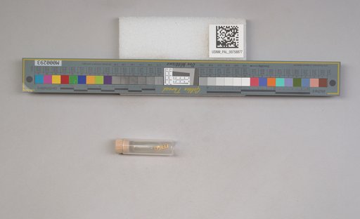 NSF ADBC EPICC TCN