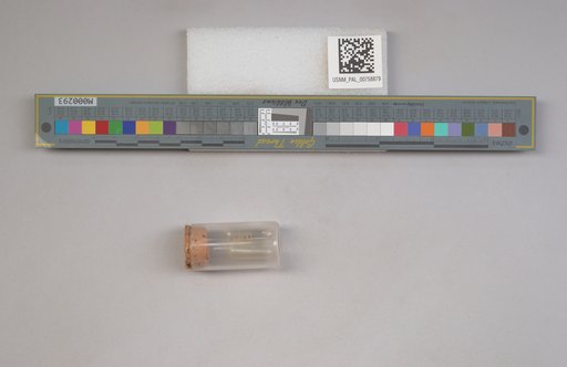 NSF ADBC EPICC TCN
