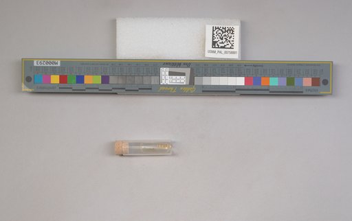 NSF ADBC EPICC TCN