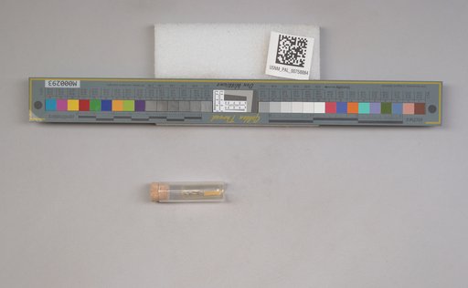 NSF ADBC EPICC TCN
