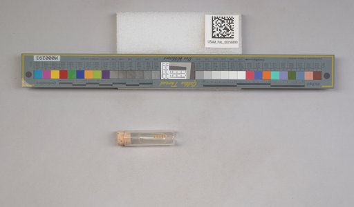 NSF ADBC EPICC TCN