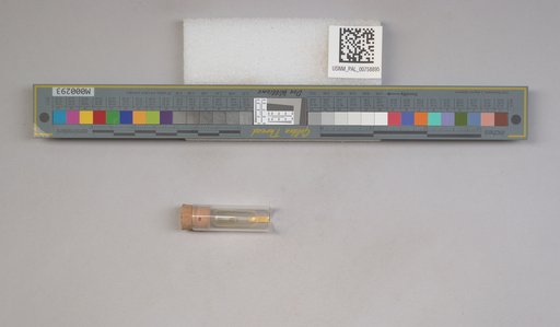 NSF ADBC EPICC TCN