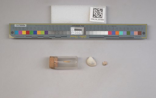 NSF ADBC EPICC TCN