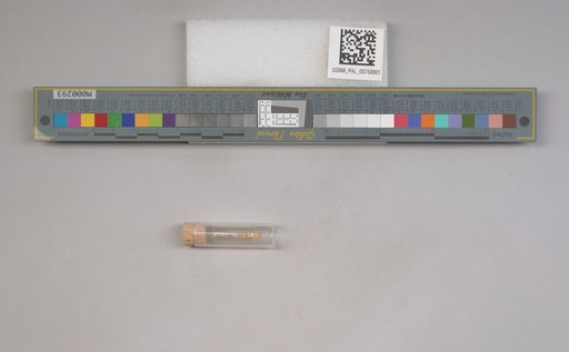 NSF ADBC EPICC TCN