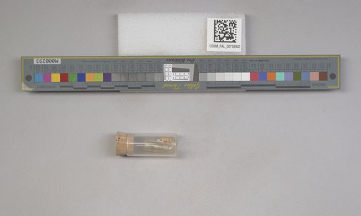 NSF ADBC EPICC TCN