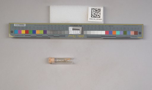 NSF ADBC EPICC TCN