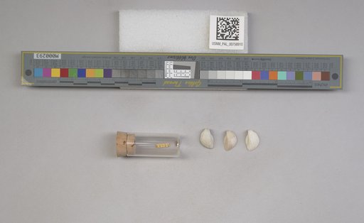 NSF ADBC EPICC TCN