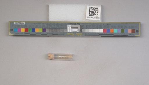 NSF ADBC EPICC TCN
