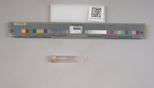 NSF ADBC EPICC TCN