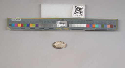 NSF ADBC EPICC TCN