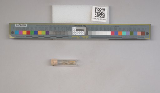 NSF ADBC EPICC TCN