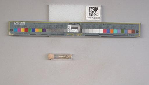 NSF ADBC EPICC TCN
