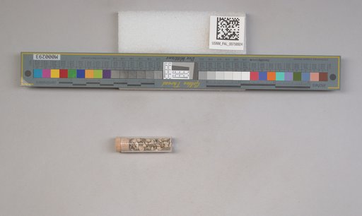 NSF ADBC EPICC TCN