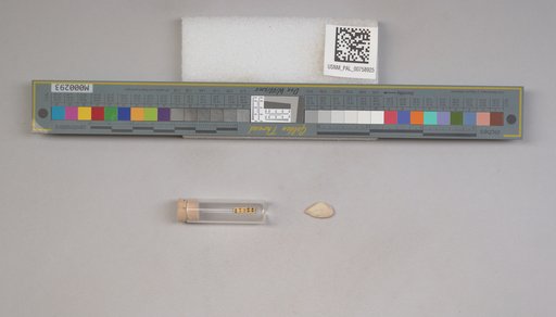 NSF ADBC EPICC TCN