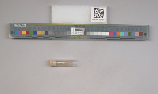 NSF ADBC EPICC TCN