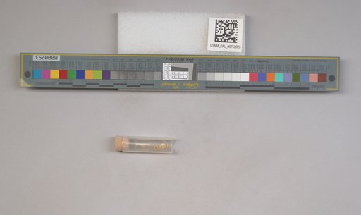 NSF ADBC EPICC TCN