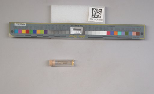 NSF ADBC EPICC TCN