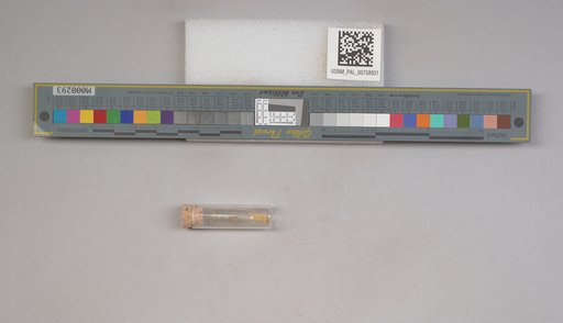 NSF ADBC EPICC TCN