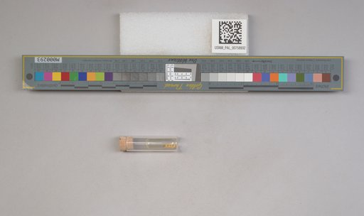 NSF ADBC EPICC TCN