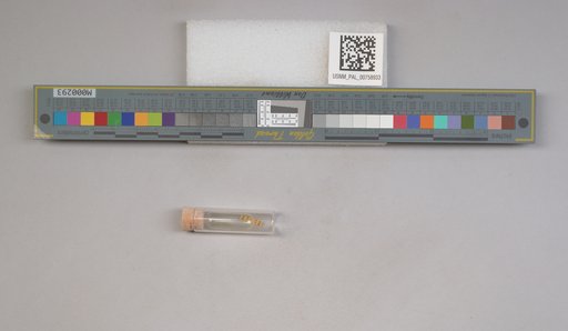 NSF ADBC EPICC TCN