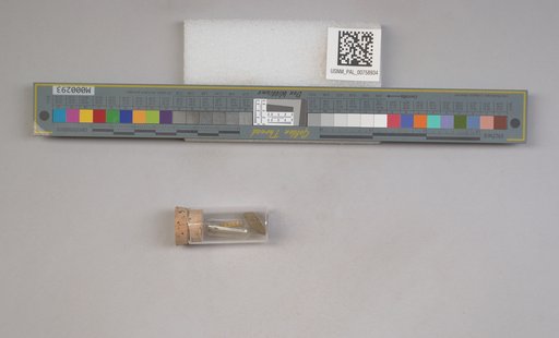 NSF ADBC EPICC TCN