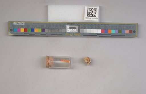 NSF ADBC EPICC TCN