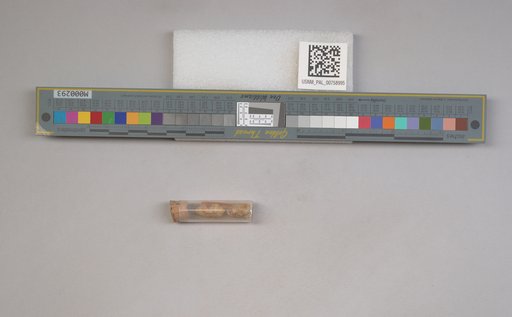 NSF ADBC EPICC TCN