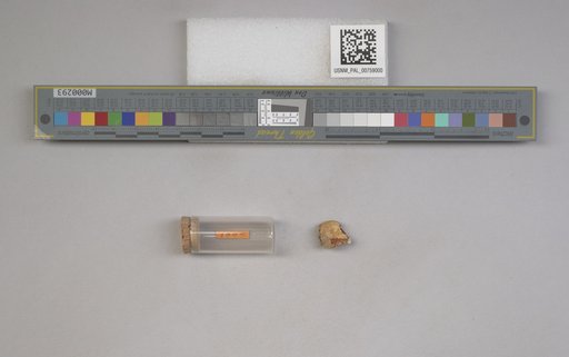 NSF ADBC EPICC TCN