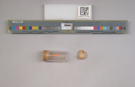 NSF ADBC EPICC TCN