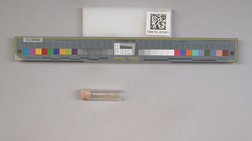 NSF ADBC EPICC TCN
