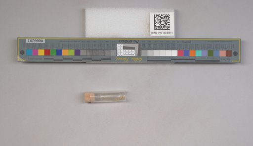 NSF ADBC EPICC TCN