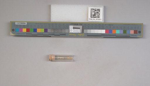 NSF ADBC EPICC TCN