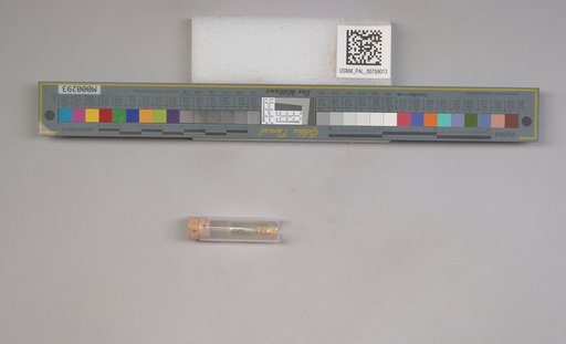 NSF ADBC EPICC TCN