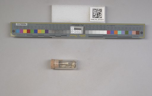 NSF ADBC EPICC TCN