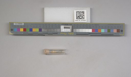 NSF ADBC EPICC TCN