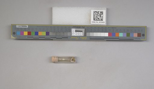NSF ADBC EPICC TCN