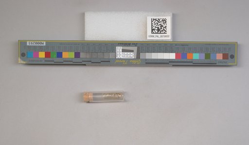 NSF ADBC EPICC TCN