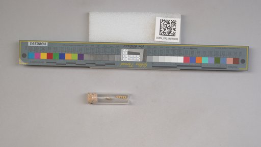 NSF ADBC EPICC TCN