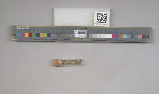 NSF ADBC EPICC TCN