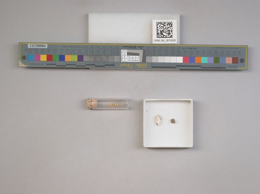 NSF ADBC EPICC TCN