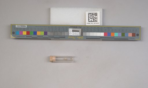 NSF ADBC EPICC TCN