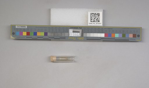NSF ADBC EPICC TCN
