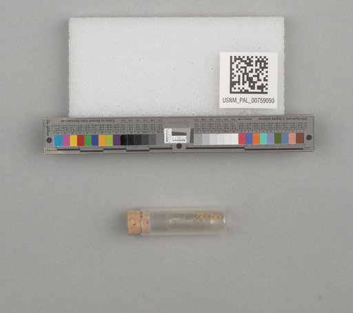 NSF ADBC EPICC TCN