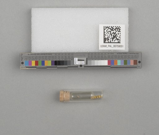 NSF ADBC EPICC TCN