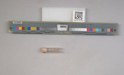 NSF ADBC EPICC TCN