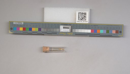 NSF ADBC EPICC TCN